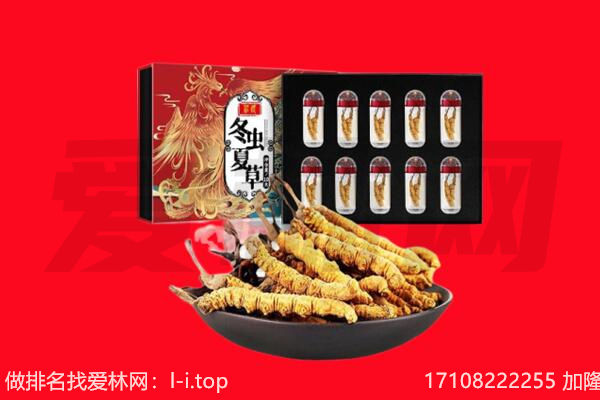 天全县回收虫草.jpg